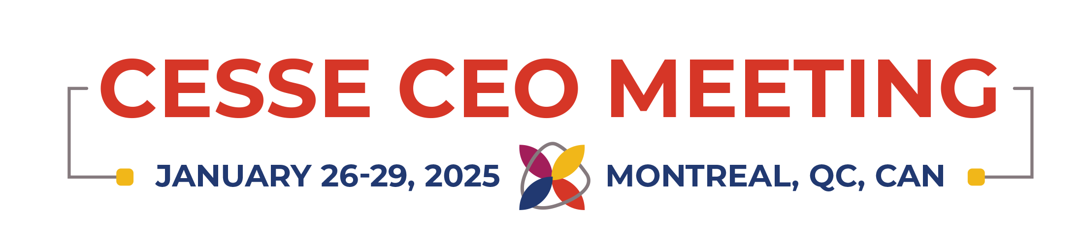 CESSE CEO Meeting 2025