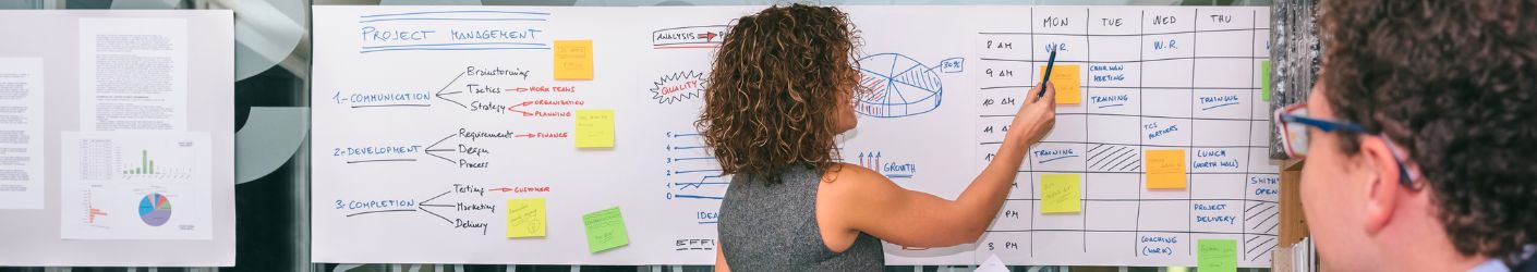 CESSE Project and Volunteer Management Header